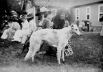 Free Picture of Russian Wolf Hound at a Mineola Dog Show