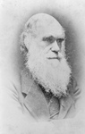Free Picture of Darwin