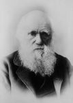 Free Picture of Charles Darwin