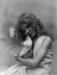 Free Picture of Girl Holding a White Dove