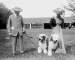Free Picture of Couple With Old English Sheepdogs