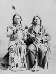 Free Picture of Sitting Bull and One Bull