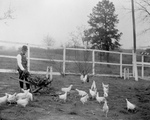 Free Picture of Booker Taliaferro Washington Feeding Chickens