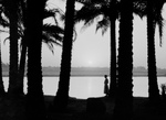 Free Picture of Woman by Palm Trees