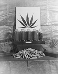 Free Picture of Marijuana Products