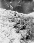 Free Picture of Marines in Water