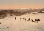 Free Picture of People and Horses on Folgefond Glacier