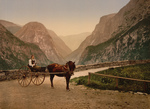 Free Picture of Norwegian Woman in a Carriage, Hardanger Fjord