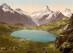 Free Picture of Cows Grazing by Pond and Bernese Alps