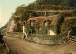 Free Picture of Ivy Covered Cottage in England