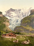 Free Picture of Livestock and Barn Near Baregg Glacier, Switzerland