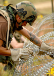Free Picture of Soldier Stringing Concertina Wire