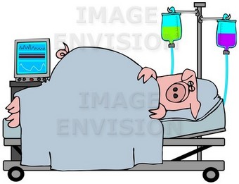 Clip Art Graphic of an Ill Pig Recovering In A Hospital