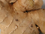 Ginger Root Spice