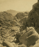 Ras-es Safsaf Towards Mt Sinai