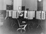 Woman Working at Files