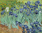Picture of the Painting of Irises by Vincent van Gogh