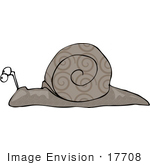 #17708 Spiral Patterned Shell Snail Clipart