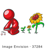 #37284 Clip Art Graphic Of A Red Guy Character Planting Sunflowers