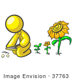 #37763 Clip Art Graphic Of A Yellow Guy Character Planting Sunflowers