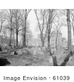 #61039 Royalty-Free Historical Stock Photo Of Trees And Graves At Copps Hill Burying Grounds Boston Massachusetts In 1904